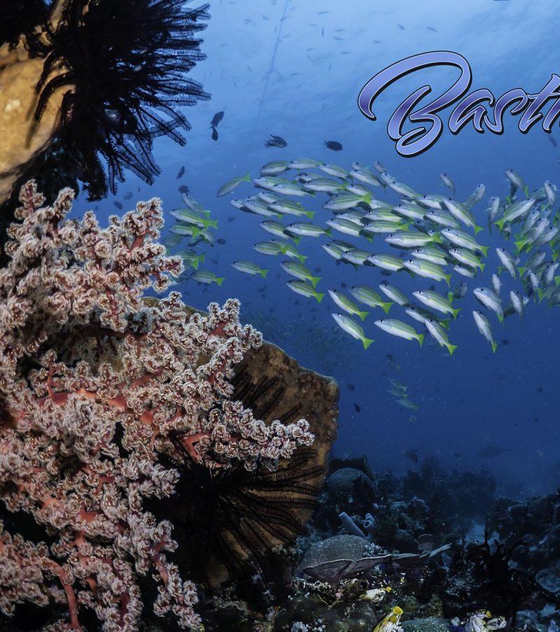 Bastianos Tauchbasis Bangka