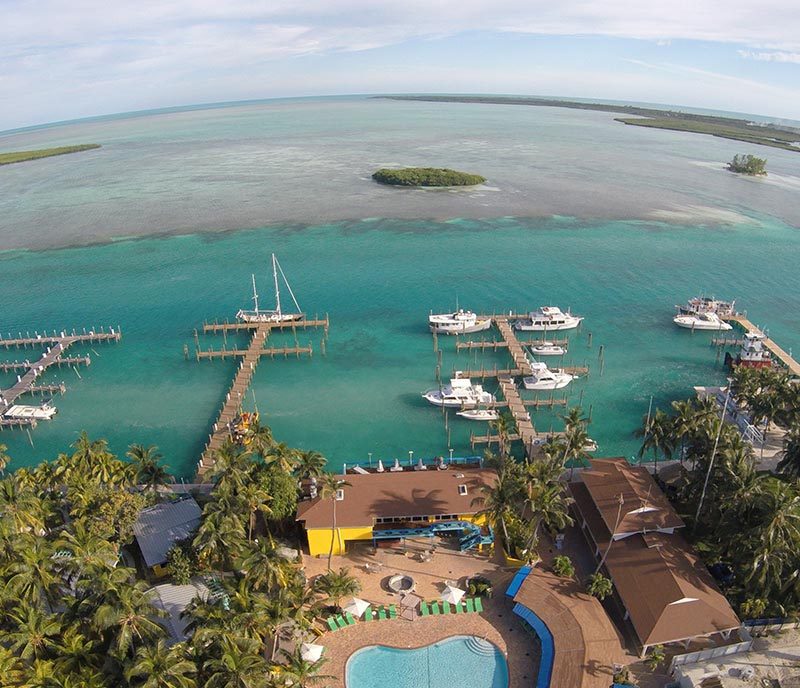 Bimini Big Game Resort & Marina - Hammerhai Tauchen 2025