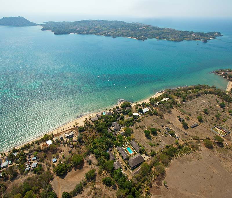 Corail Noir  - Madagaskar - Top Angebot