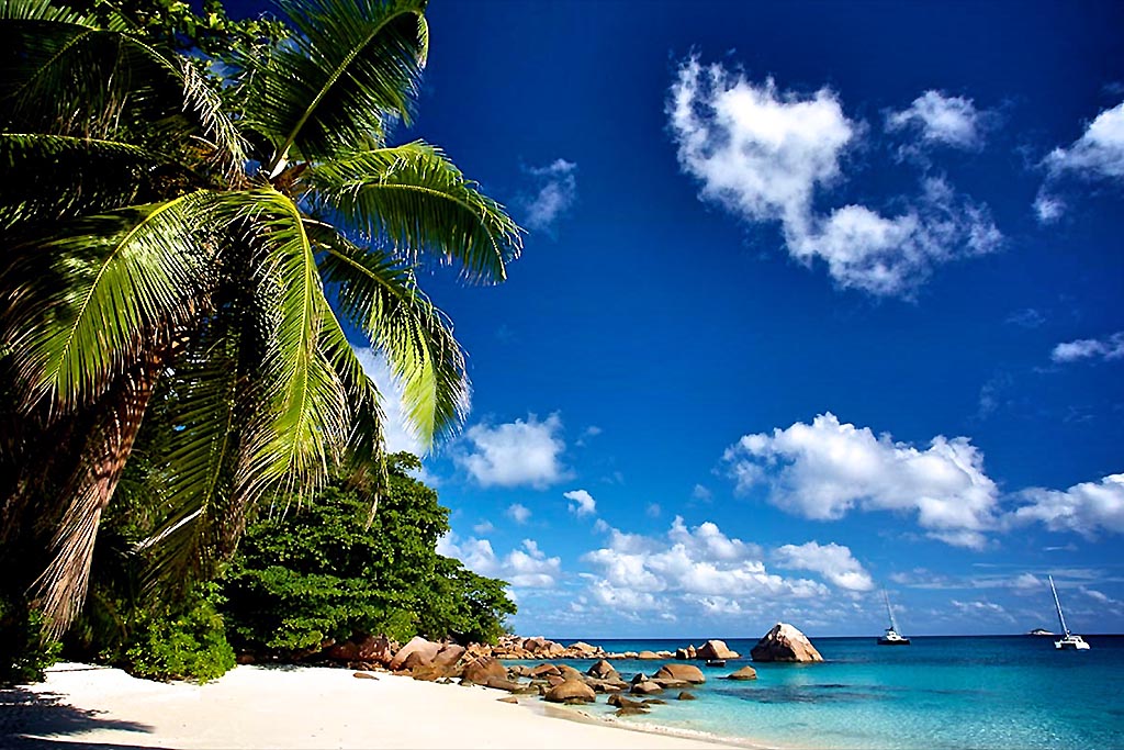 Urlaub zum Tauchen auf Praslin online buchen » Absolut Scuba