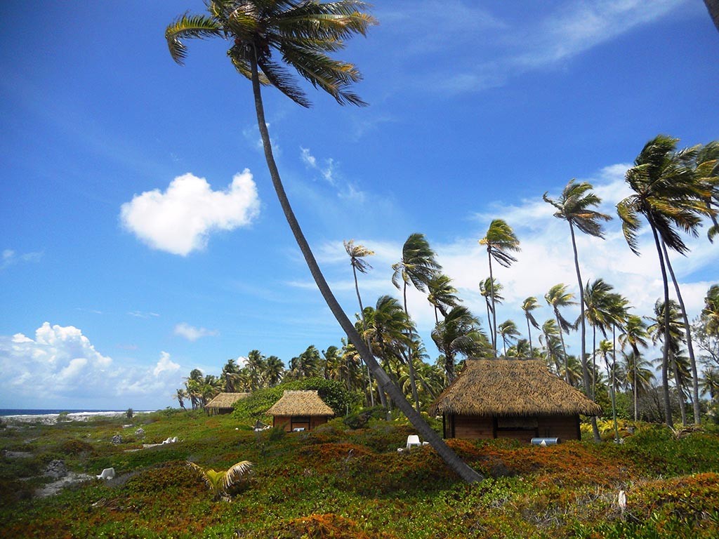 01 pension raimiti fakarava franzoesisch polynesien tauchreisen