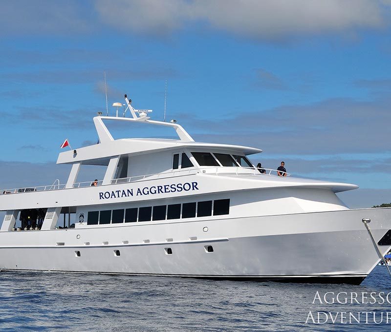 Roatan Aggressor