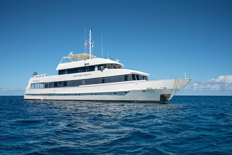 Turks & Caicos Explorer II - Silver Bank Schnorcheltouren