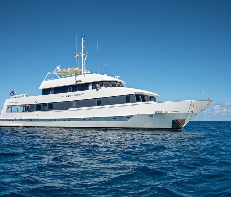 Turks & Caicos Explorer II - Silver Bank Schnorcheltouren