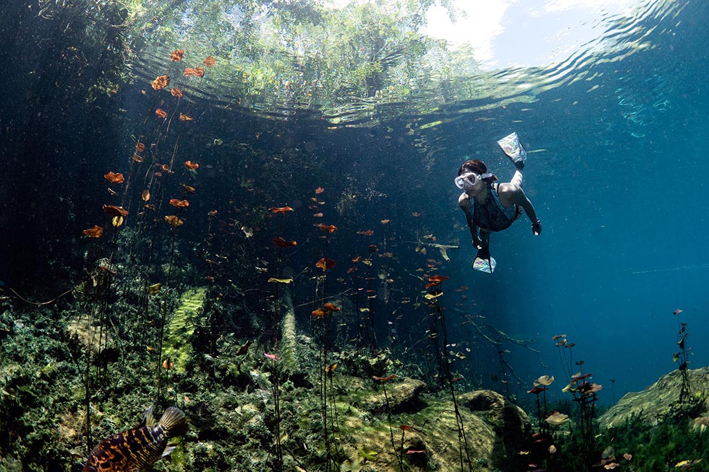 02 maya blue dive center riviera maya hoehlentauchen mexiko tauchreisen©TomStGeorge