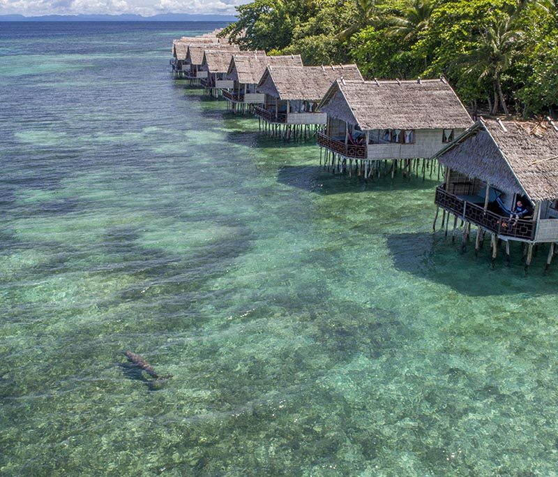 Papua Paradise Eco Resort