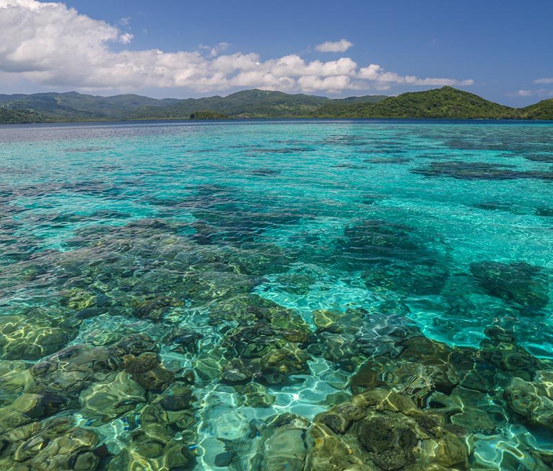 Mad Fish Dive Center