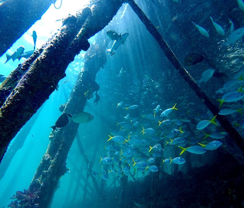 Raja Ampat Dive Lodge Tauchbasis