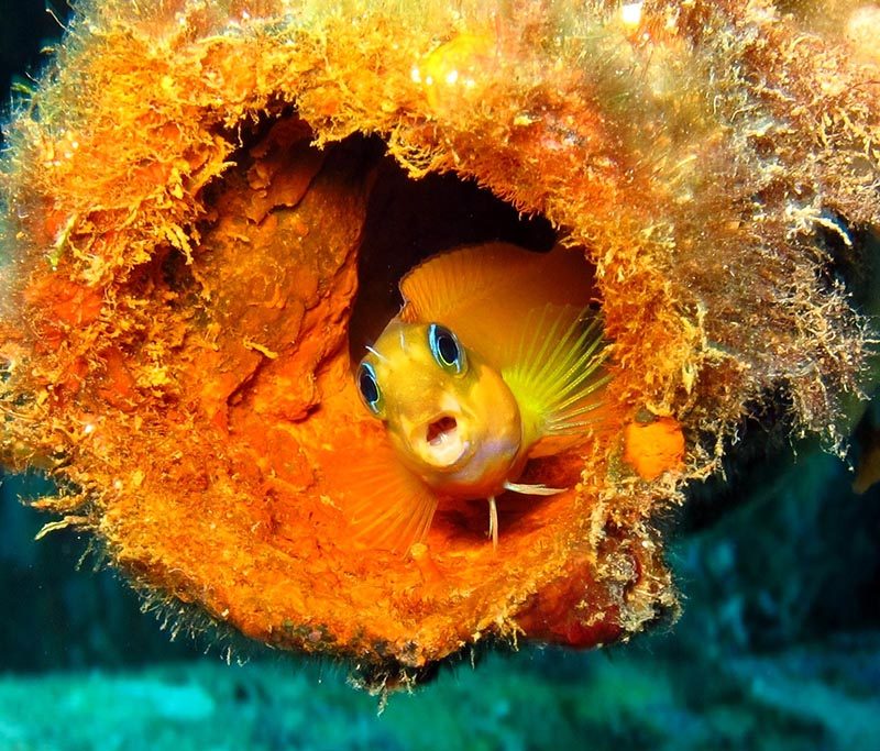 Sakatia Lodge Dive Center