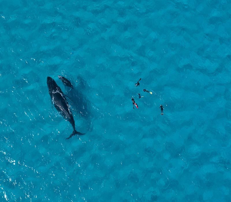 Matafonua Lodge - Foa Island