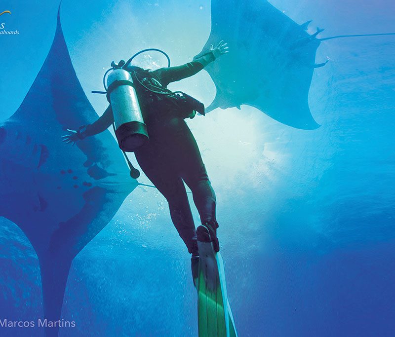 Nautilus Explorer - Socorro