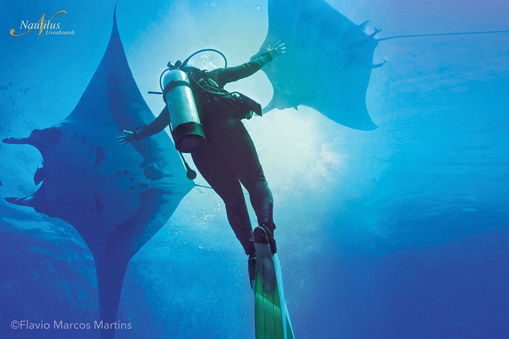 Nautilus Explorer Socorro » Tauchsafaris mit Absolut Scuba