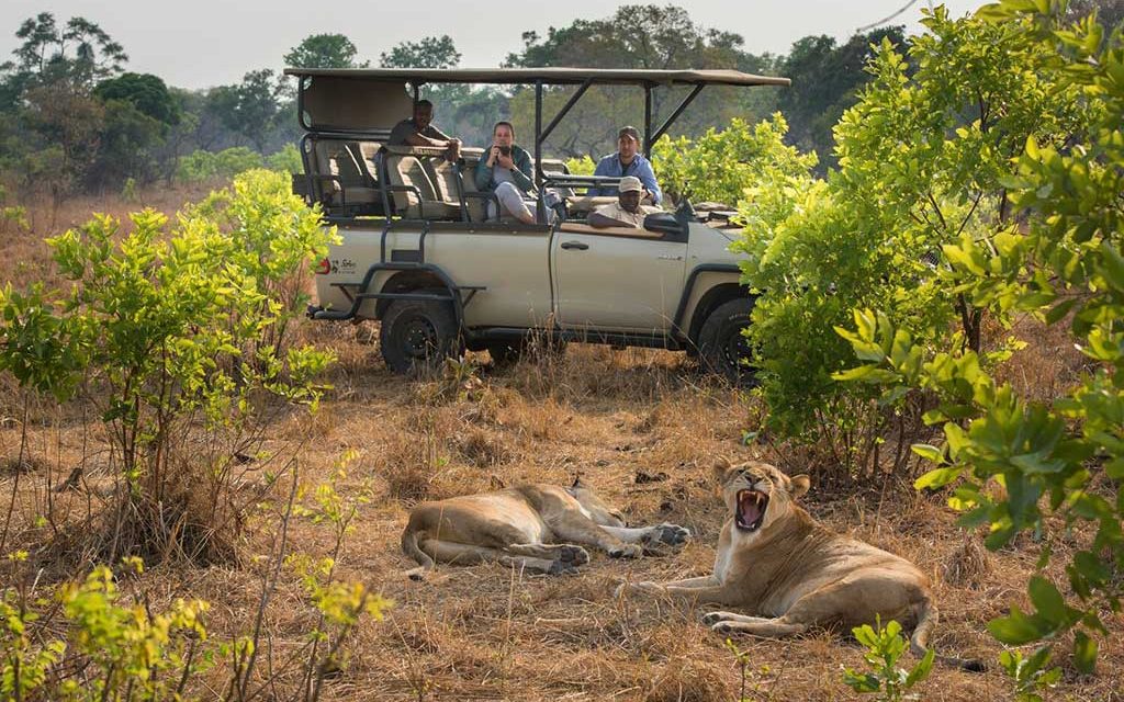 Sambia: Gruppenreise Safari, Mai 2024