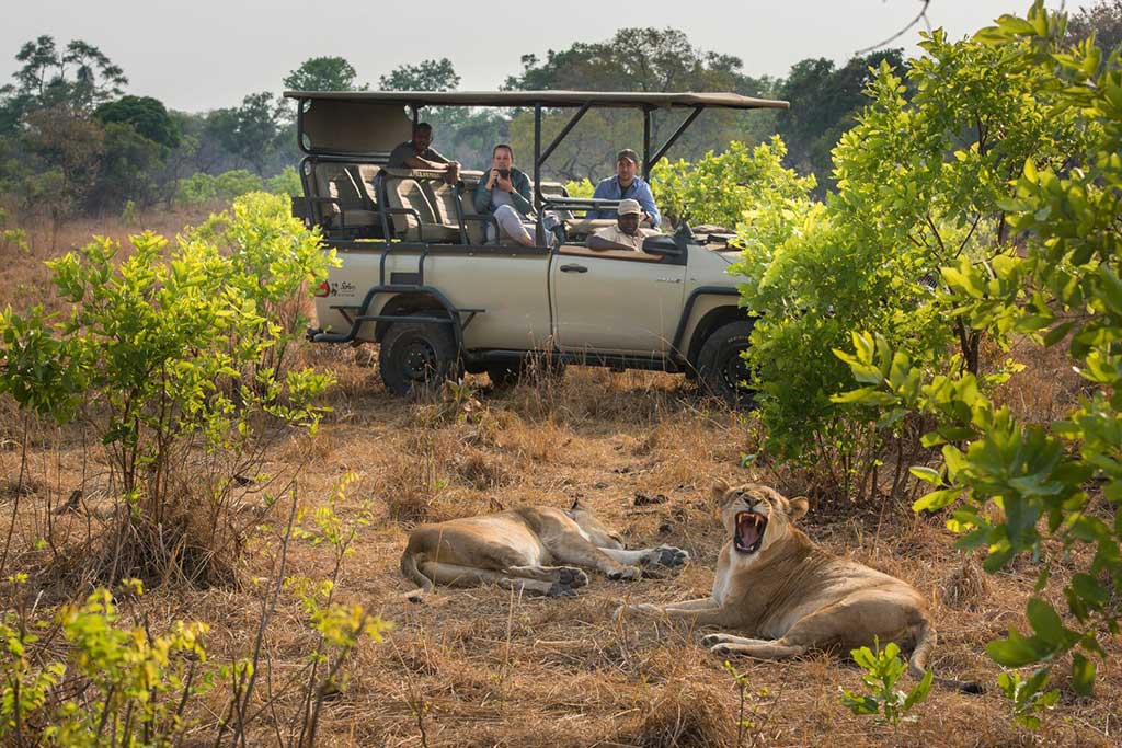 Sambia Safari
