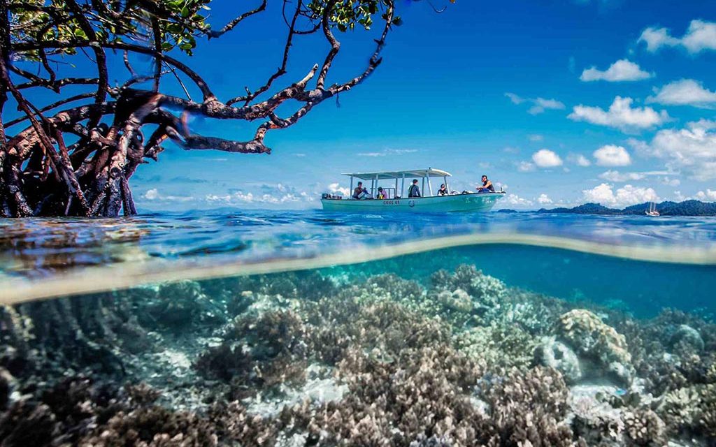 Cove Eco Resort Tauchbasis