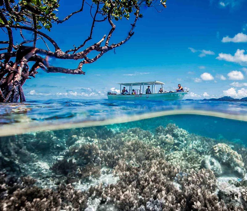 Cove Eco Resort Tauchbasis