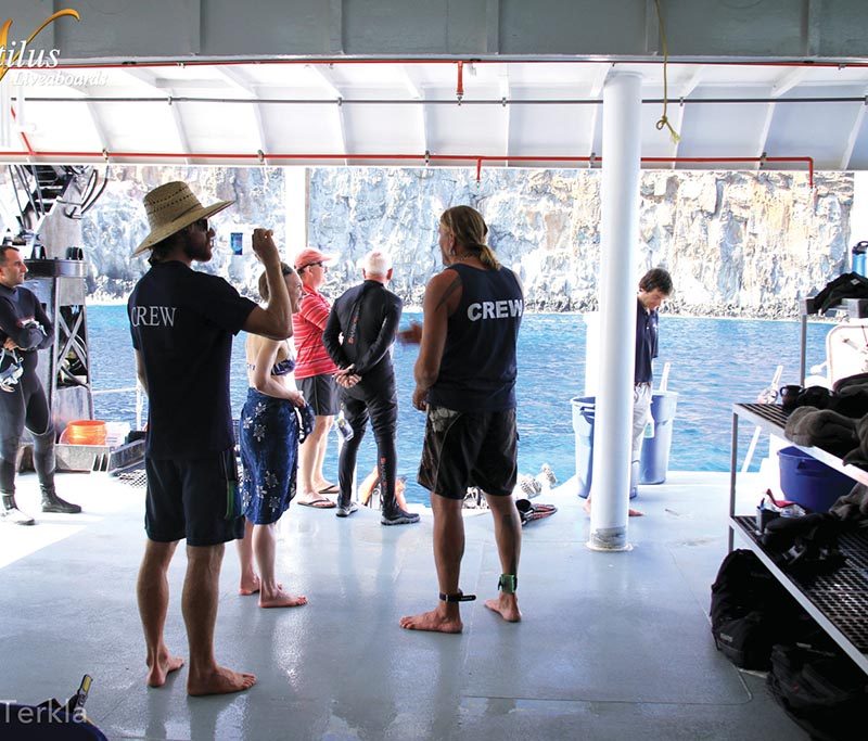 Nautilus Belle Amie - Socorro Islands