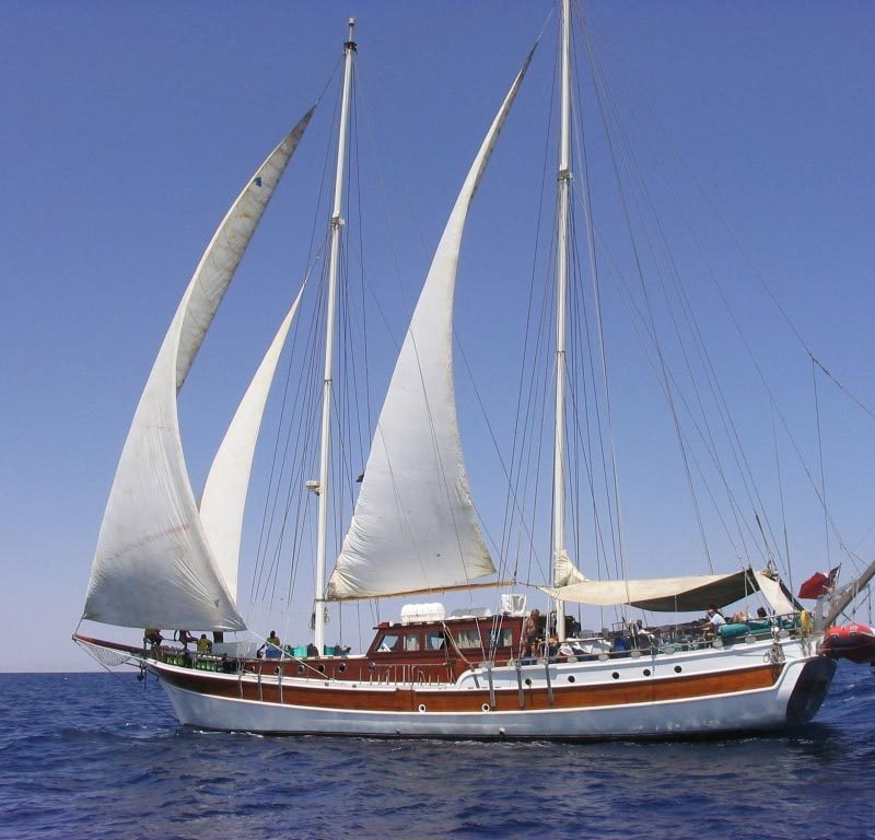 MSY Elegante - Djibouti