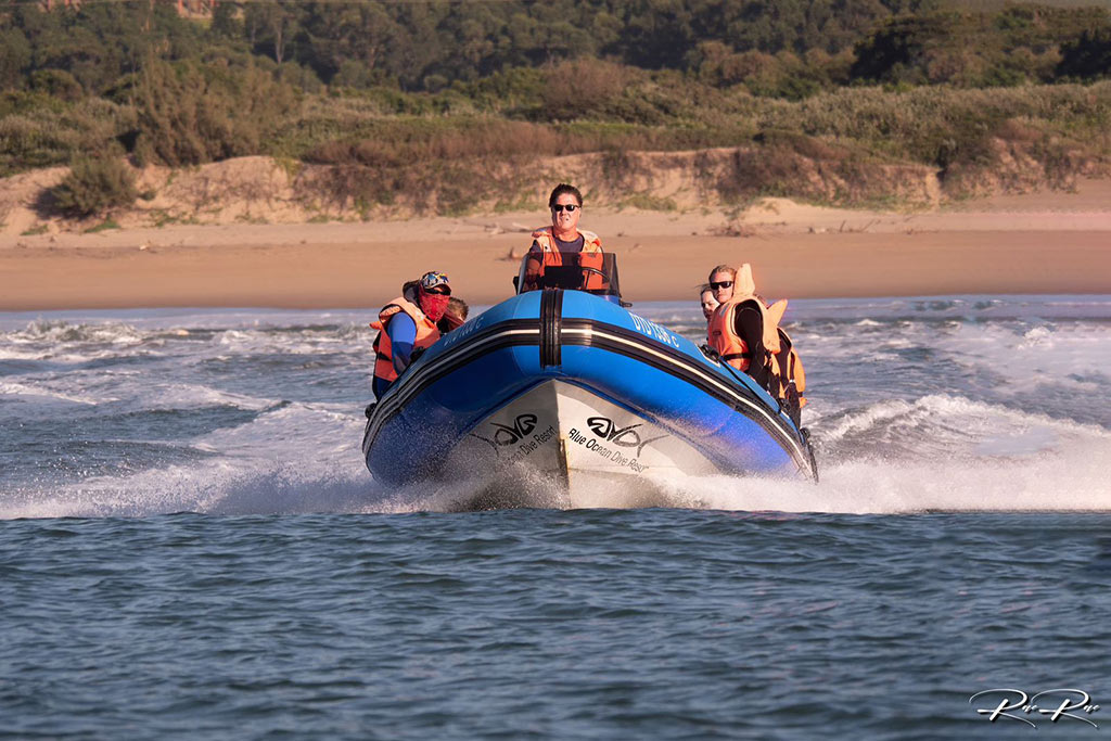 14 blue ocean dive center umkomaas südafrika