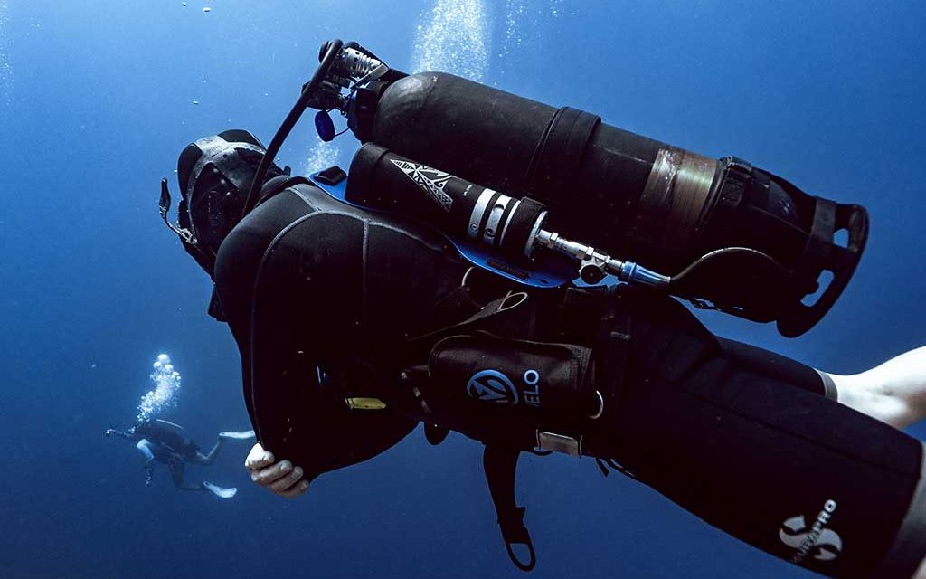 Dive Friends – Avelo Tauch-Erlebniswochen