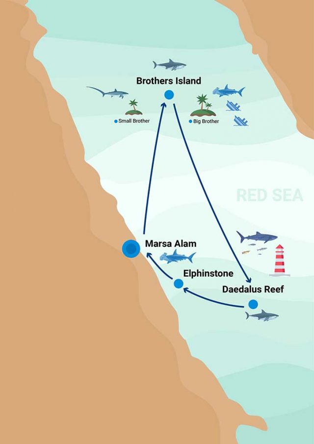 карты красное море