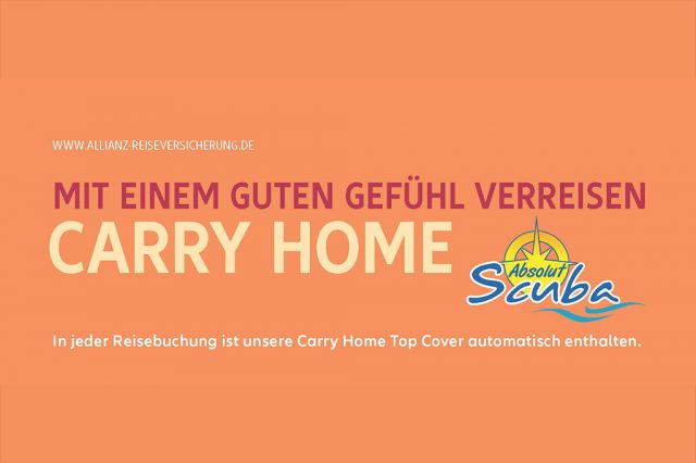 Carry Home