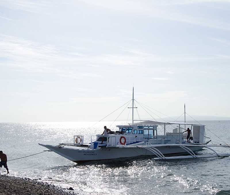 Dive Society - Dauin