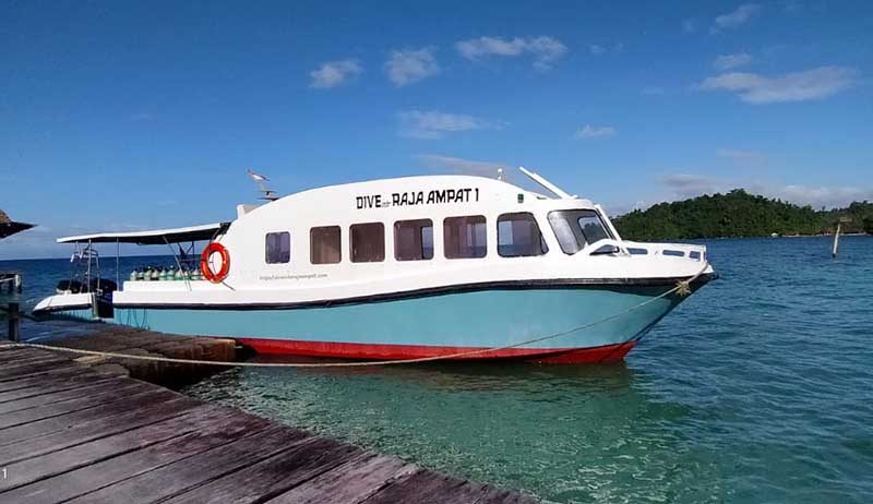 Dive Into Raja Ampat