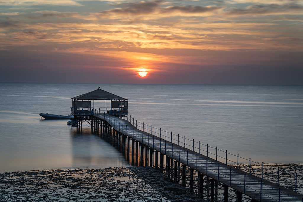 Ducks_Diving_Quseir001 Ducks_Diving_Quseir001