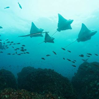 Galapagos_Rundreise_026