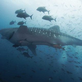 Galapagos_Rundreise_027