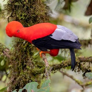 Galapagos_Rundreise_036