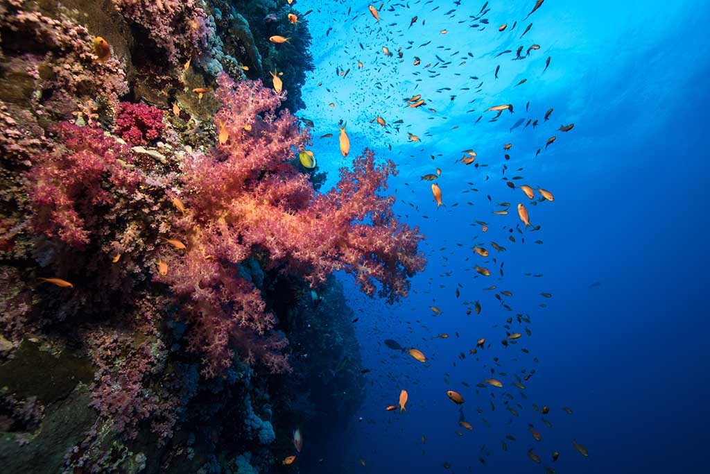 Gruppenreise-Retreat_und_Meeresreise_001 Gruppenreise-Retreat_und_Meeresreise_001