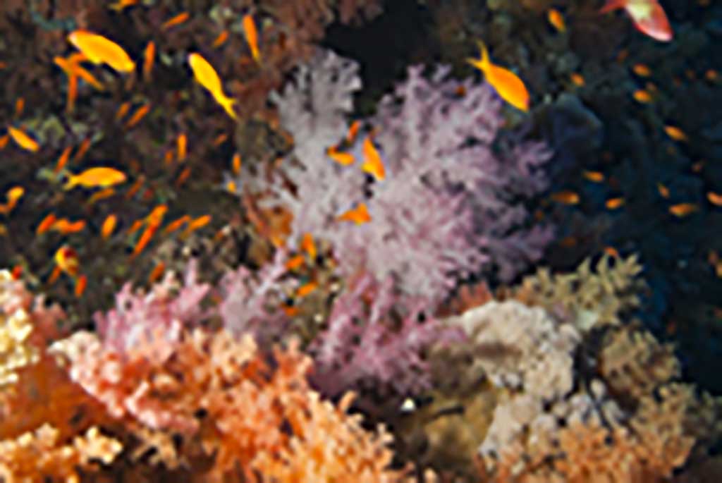 Gruppenreise-Retreat_und_Meeresreise_004 Gruppenreise-Retreat_und_Meeresreise_004