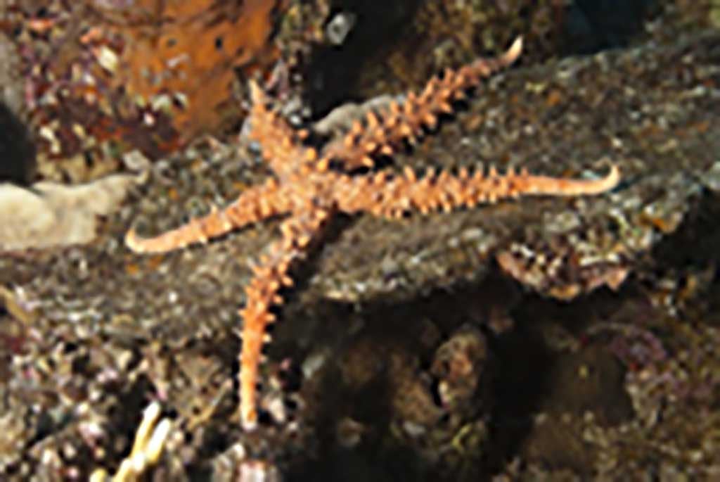 Gruppenreise-Retreat_und_Meeresreise_007 Gruppenreise-Retreat_und_Meeresreise_007