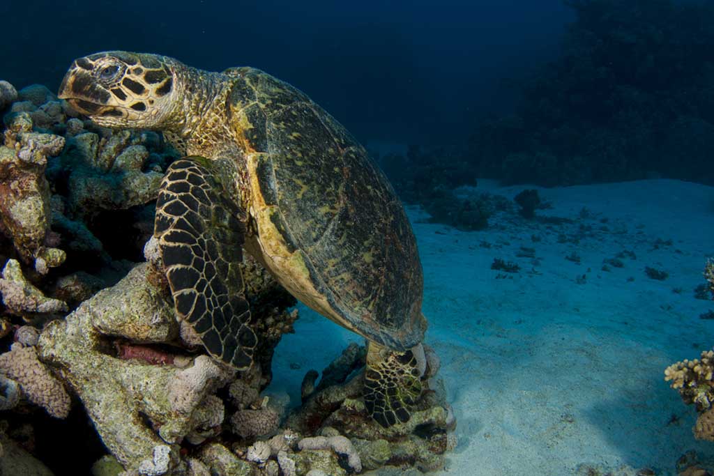 Gruppenreise-Retreat_und_Meeresreise_011 Gruppenreise-Retreat_und_Meeresreise_011