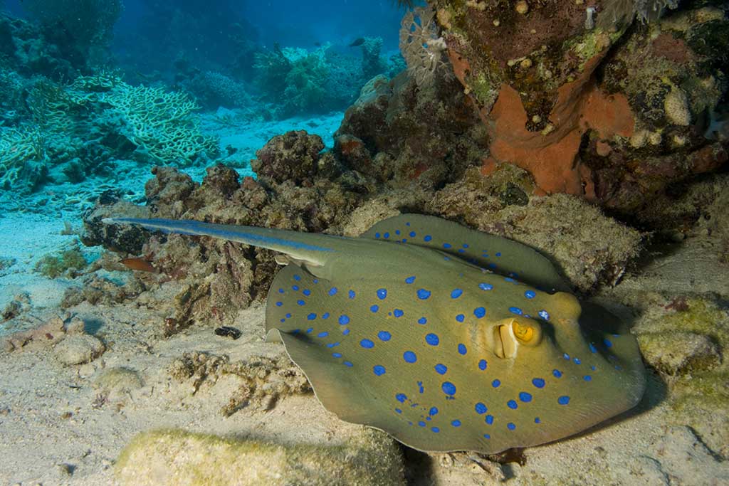 Gruppenreise-Retreat_und_Meeresreise_014 Gruppenreise-Retreat_und_Meeresreise_014