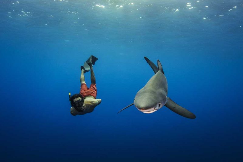 Norberto Diver