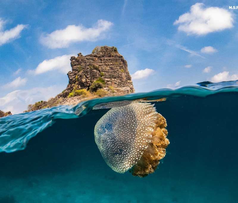 Ko Lanta Diving Center