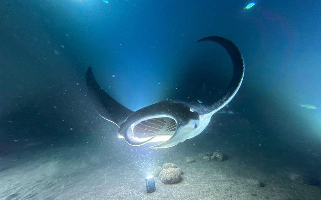 Dive & Sail – Kudarah