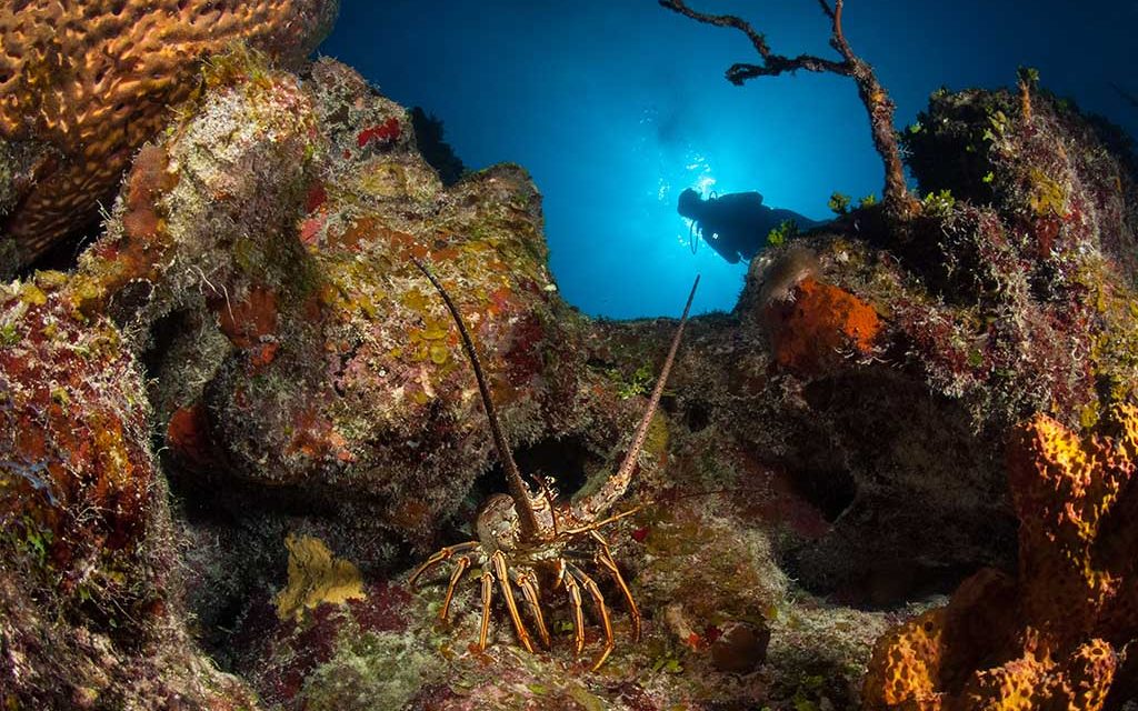 Turks & Caicos Explorer II