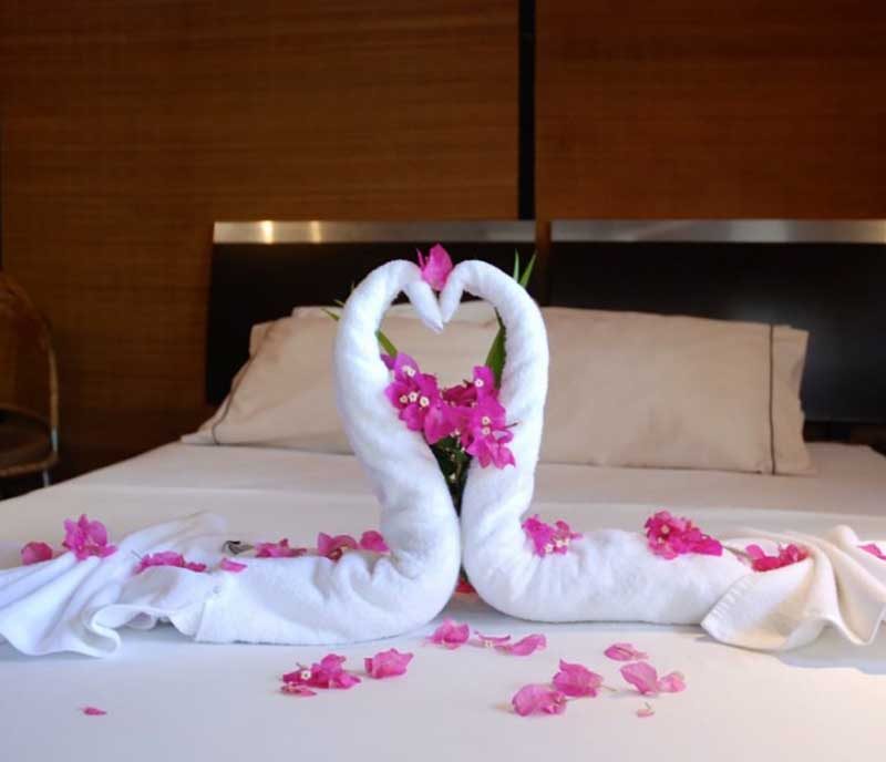 Hotel M&M Beach House & Garden House