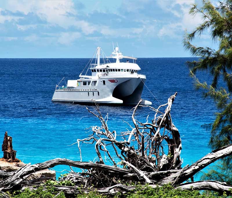 MY Basilisk Seychelles - Kreuzfahrt-Expeditionen