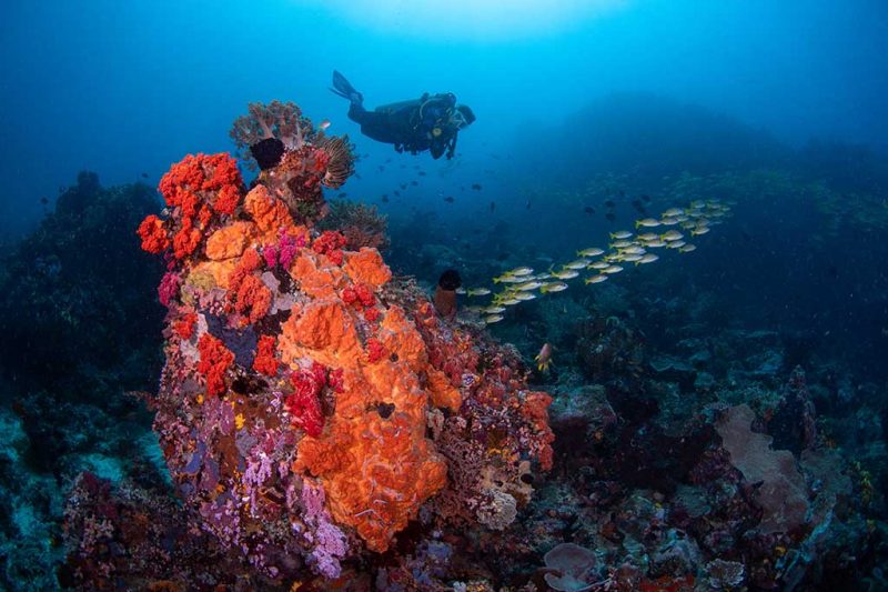 Murex Bangka Tauchbasis