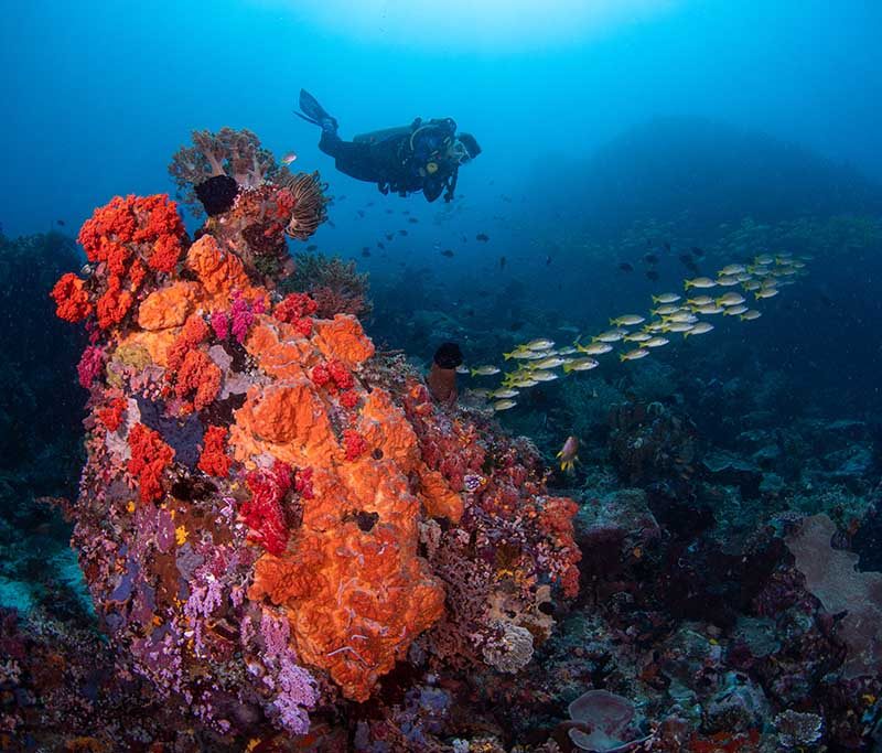 Murex Bangka Tauchbasis