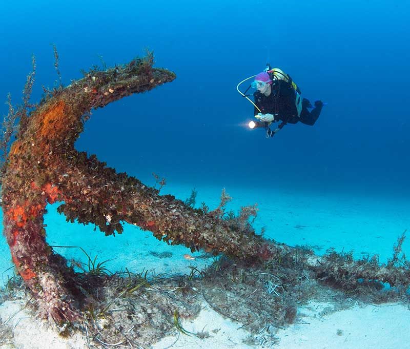 Octopus Garden Diving Center