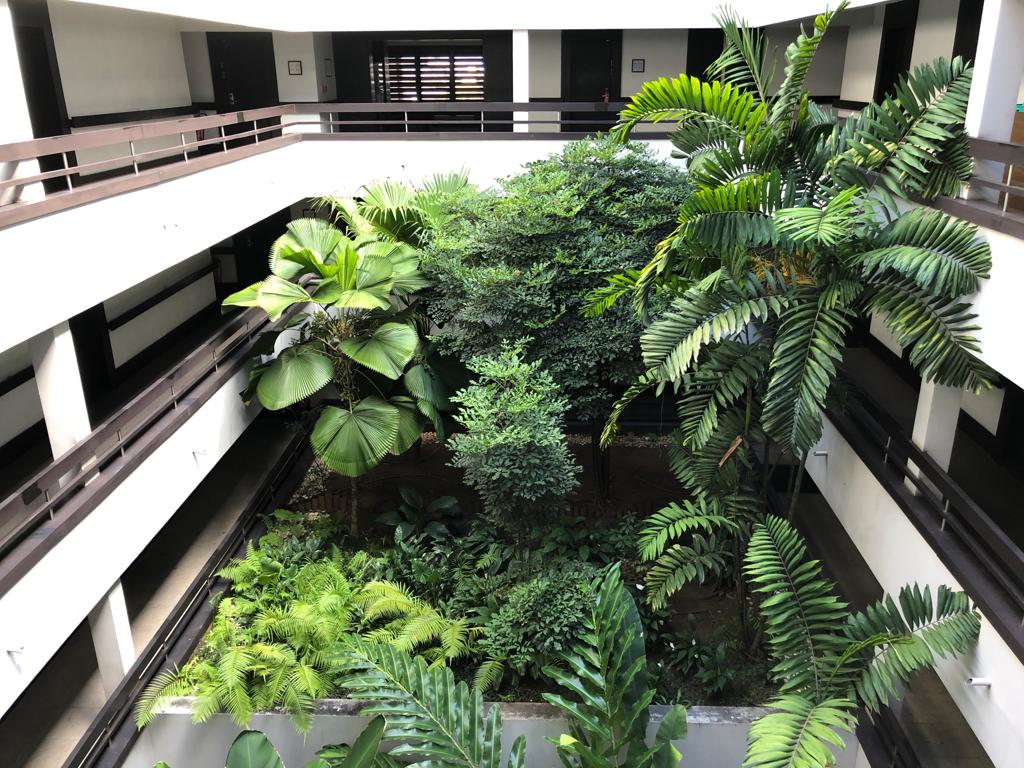 PHOTO 2019 11 08 19 41 23 1 1 PHOTO 2019 11 08 19 41 23 1 1