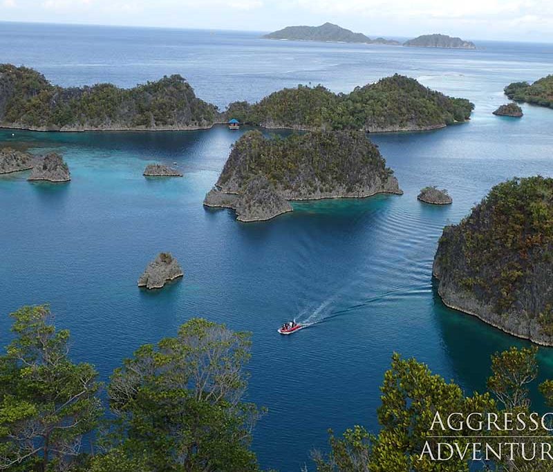 Raja Ampat Aggressor