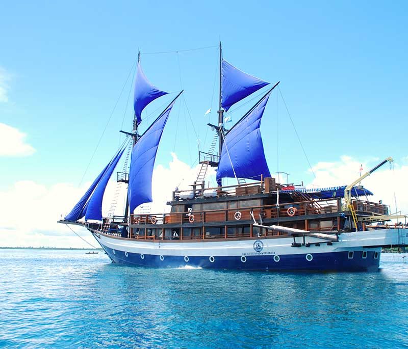 Sea Safari 8