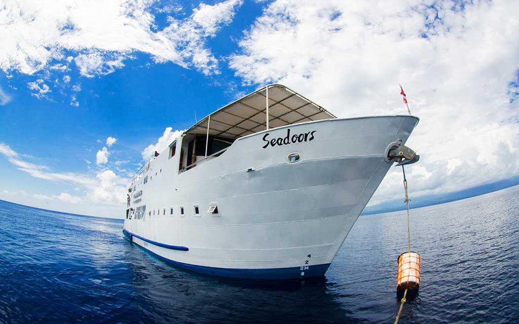 Seadoors – Rabatt auf Tauchsafaris in Juni & Juli